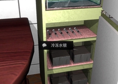 孙美琪疑案金凤凰冷冻水银线索获取方法