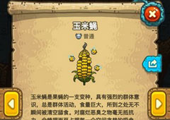 黑暗料理王玉米蝇怎么组合 玉米蝇属性图鉴