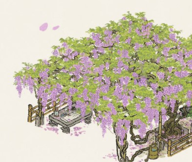 《江南百景图》紫藤花获取方法介绍 江南百景图紫藤花怎么获得1