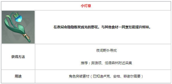 原神小灯草介绍