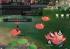 天涯明月刀手游荷花在哪 获取方式与条件一览