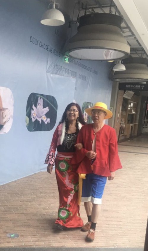 航海王启航图片2