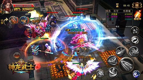 神龙武士截图5