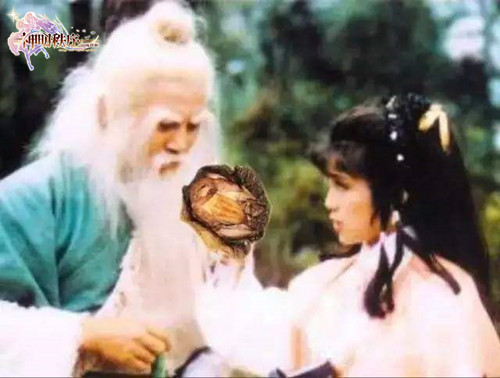 神明秩序幻域神姬文章图片3