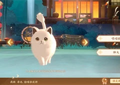 忘川风华录怎么把猫提起来 具体方法分享