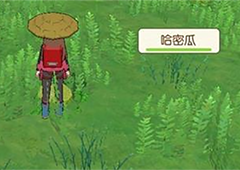 小森生活海岛采集什么好 采集物品推荐