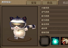 天龙八部墨镜猫资质怎么样 天龙八部墨镜猫图鉴详解