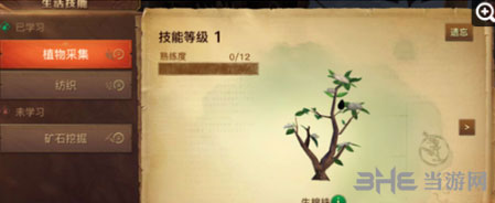 光明大陆截图1