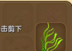 迷你世界水草有什么用 迷你世界水草合成表攻略