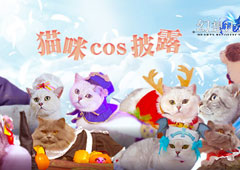 喵星人参上 《幻想计划》猫咪cos披露