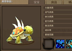 天龙八部手游乌龟宝宝资质怎么样 天龙八部乌龟技能属性图鉴