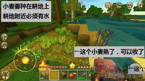 迷你世界截图7