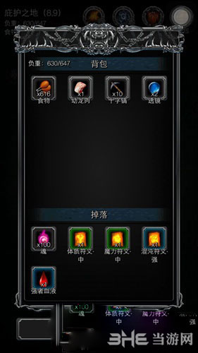 地下城堡2黑暗觉醒贝拉截图1