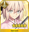 fate grand orderSaber 图鉴10