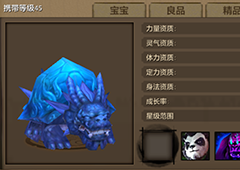 天龙八部手游龙龟打什么技能 天龙八部手游龙龟技能属性介绍
