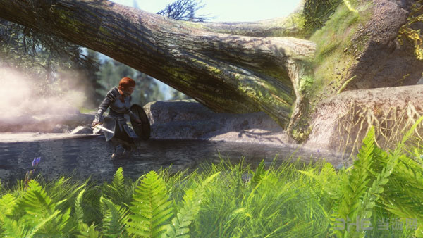 上古卷轴5MOD截图3