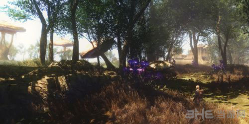 上古卷轴5MOD截图