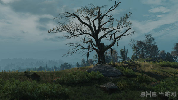 巫师3狂猎高分辨率截图4