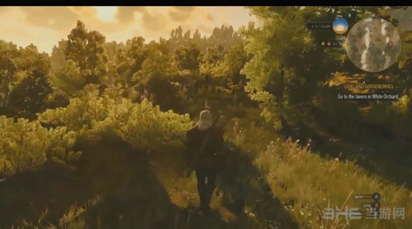 巫师3狂猎截图3