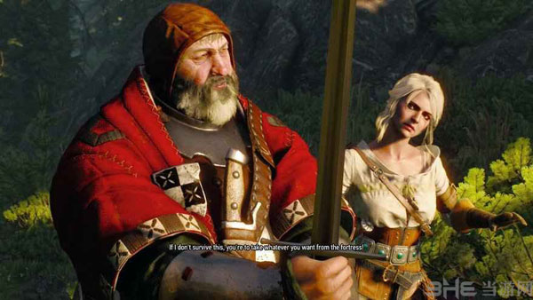 巫师3截图1