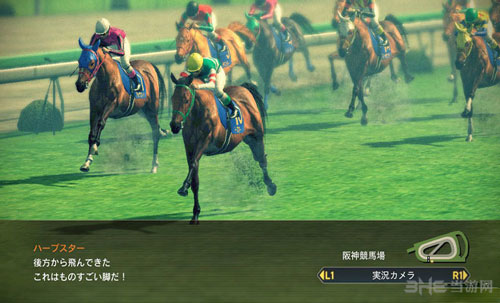 赛马大亨8游戏截图3