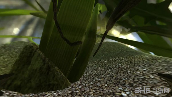 蚂蚁模拟游戏截图1