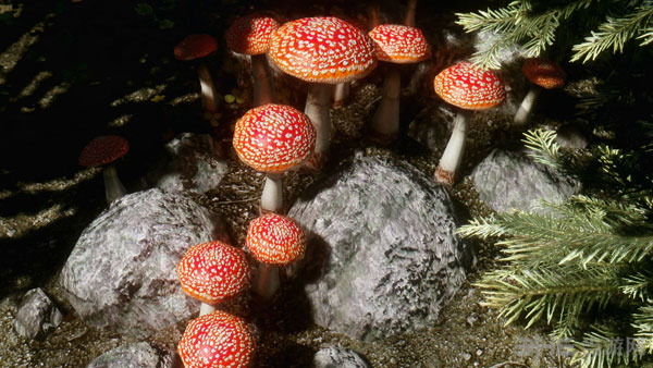 上古卷轴5天际MOD美图2