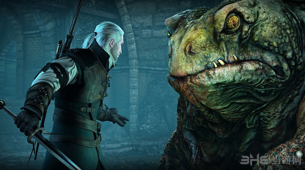 巫师3狂猎DLC石之心游戏截图2