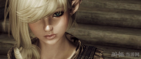 上古卷轴5天际mod截图1