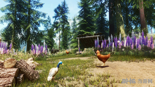 上古卷轴5游戏mod截图3