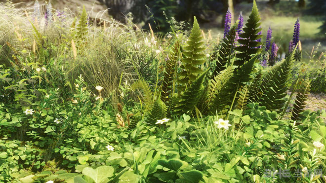 上古卷轴5天际MOD图片3