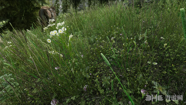 上古卷轴5游戏mod截图5