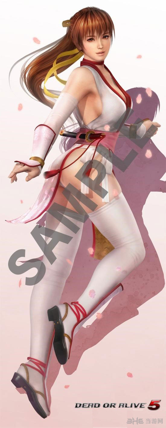 死或生5最后一战霞妹彩绘