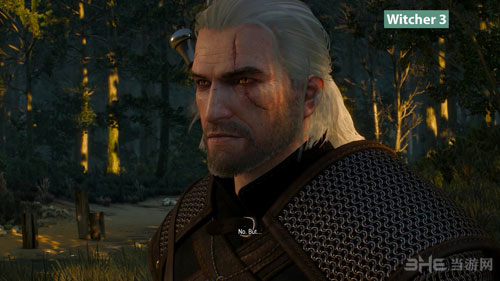巫师系列截图6