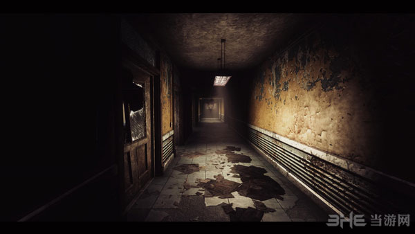 关于辐射新维加斯mod截图1