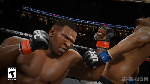 UFC2终极格斗冠军2截图2