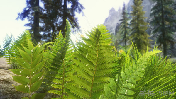 上古卷轴5天际MOD图片2