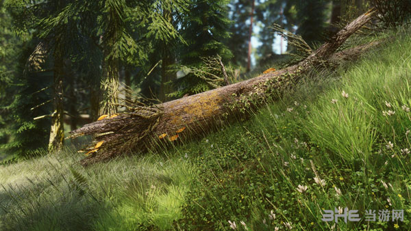 上古卷轴5游戏mod截图2