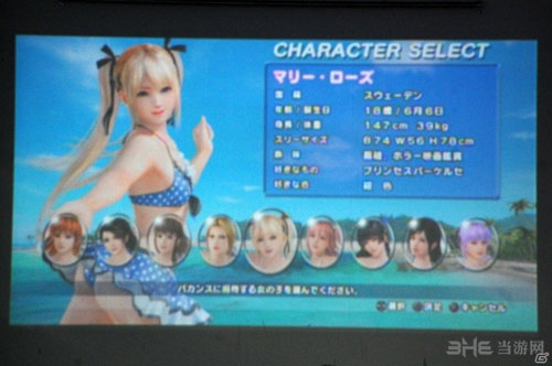 死或生沙滩排球3体验会4