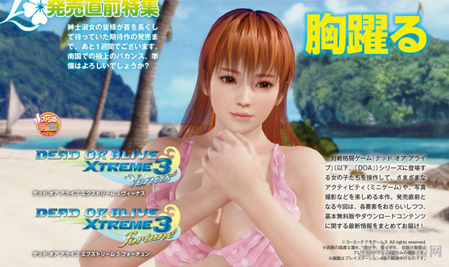 死或生沙滩排球3截图1