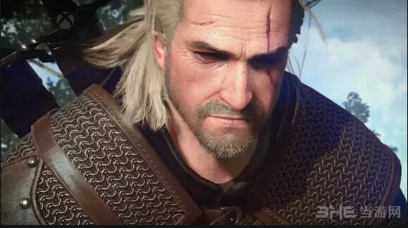 巫师3狂猎截图2