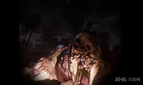 布鲁克海文实验截图1