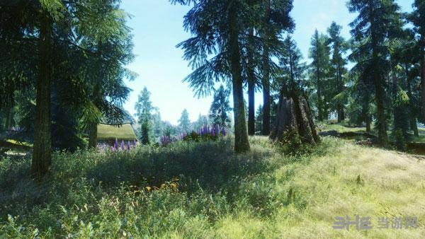 上古卷轴5游戏mod截图4