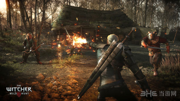 巫师3狂猎截图2