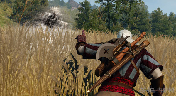 巫师3狂猎精美截图3