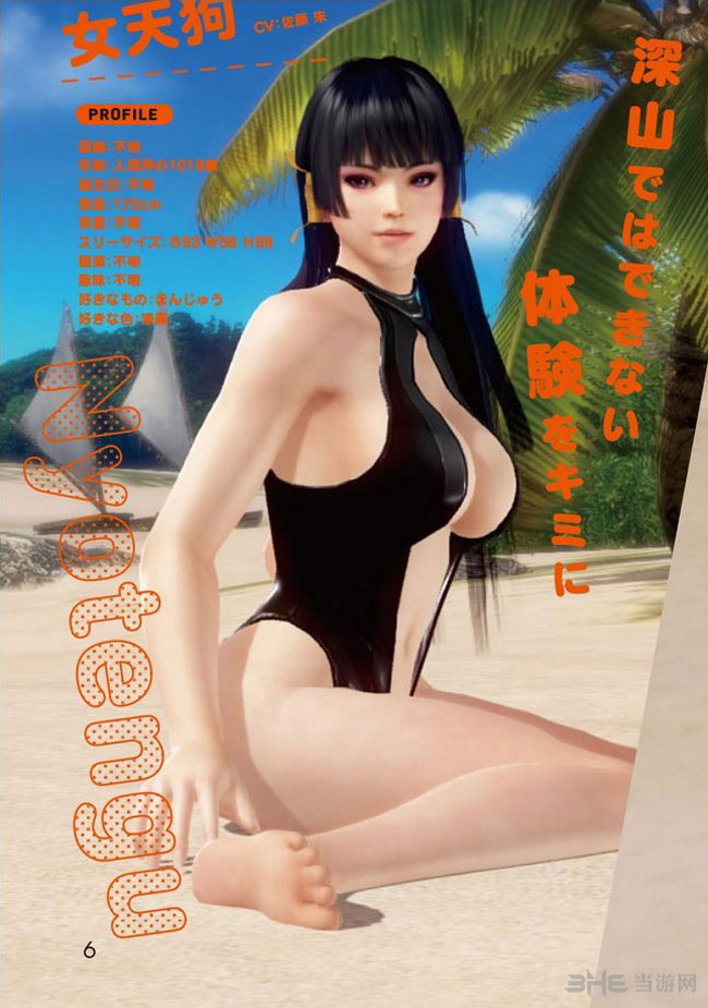 死或生沙滩排球3截图2