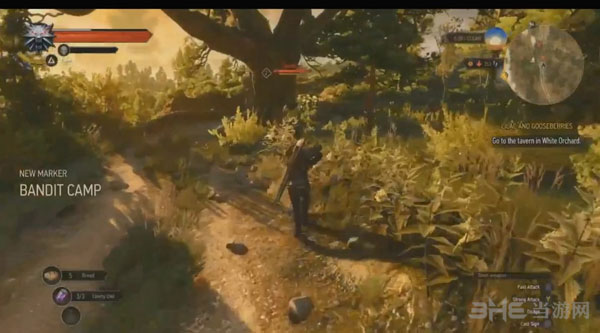 巫师3狂猎截图2