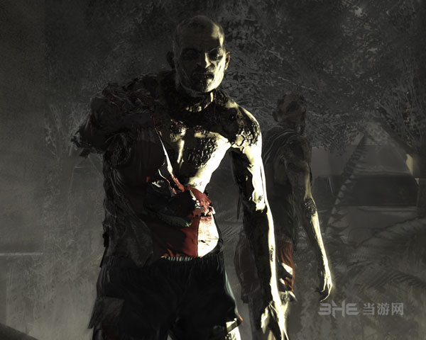 消逝的光芒截图1