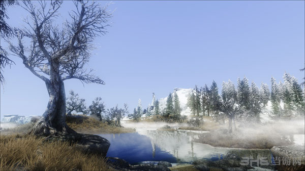 上古卷轴5天际截图3