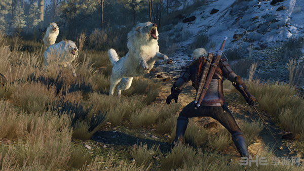 巫师3狂猎截图1